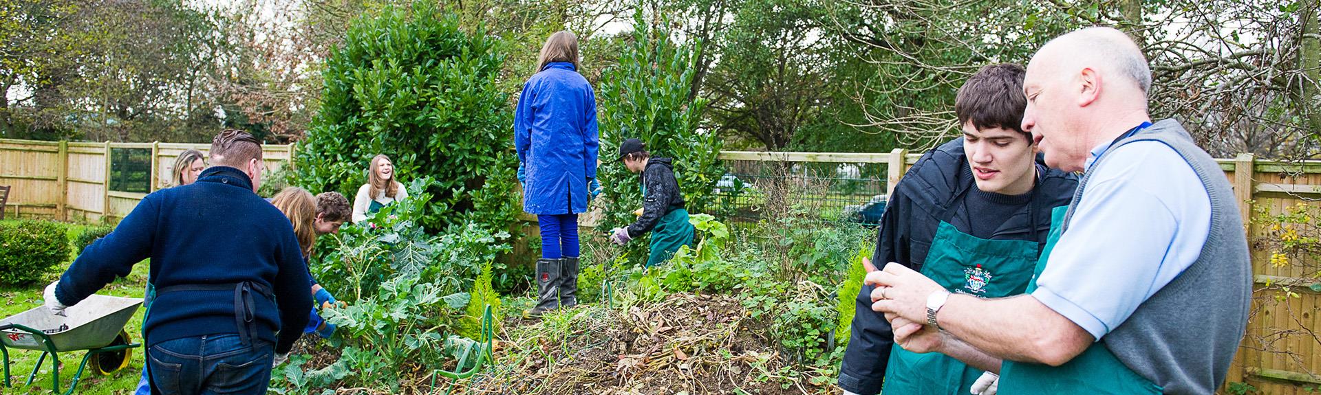 This is an imagine of 9 people in a garden environment, they are all having a good time together, smiling and enjoying themselves. There's lots of trees, bushes and there's a fence at the back of the garden too.