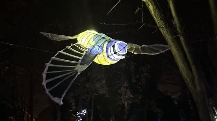 A lit lantern depicting a bird in flight. The lantern was made by Chichester College students